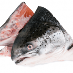 SMT-H_norwegian-salmon-trout-head-thumbnail_TFC