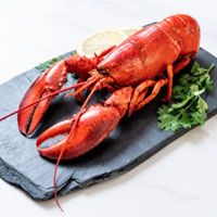 Lobster 龙虾