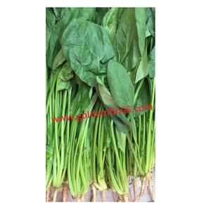 Spinach (Po Choy / Boey Leng) 波菜 500g – Goldenfin 96 Sdn Bhd | Online ...