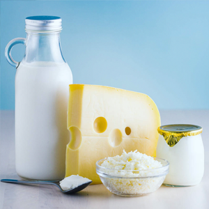 DAIRY & CHEESE 奶制品,奶酪