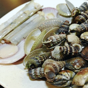 SHELLFISH 贝类（蛤蜊，扇贝，乌贼）