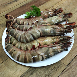 Tiger Prawn 老虎虾